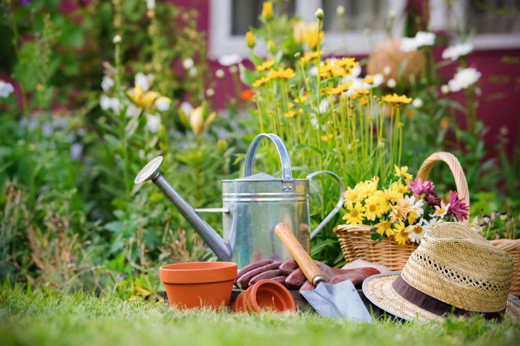 low cost gardening