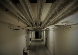 Keep Your Home Safe: The Creepy Things Found in Crawl Spaces