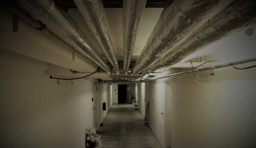 creepy-things-crawl-space